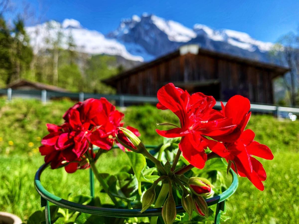 Bueelbad - Relax Holiday Apartment Kandersteg Exterior foto